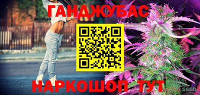 ГАЛЛЮЦИНОГЕННЫЕ ГРИБЫ Камышлов