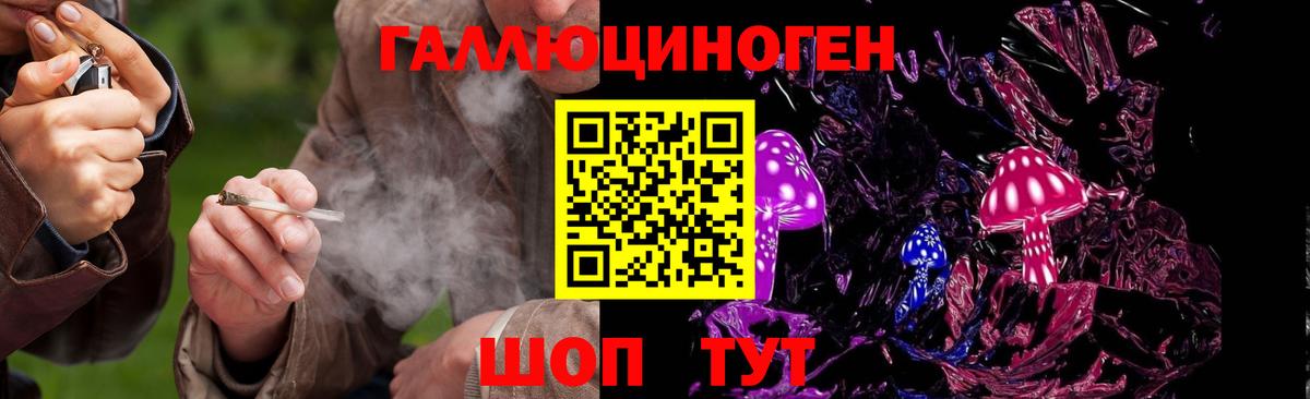 Галлюциногенные грибы Psilocybe Южно-Сахалинск